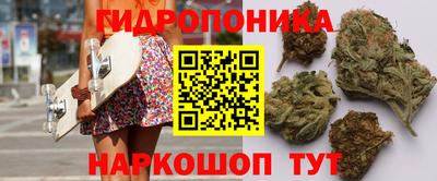 гашишное масло Аргун