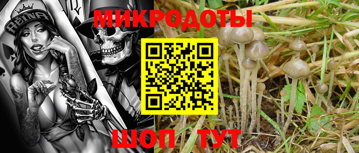 Галлюциногенные грибы ЛСД  Вход с VPN  где купить   Ачхой-Мартан 
